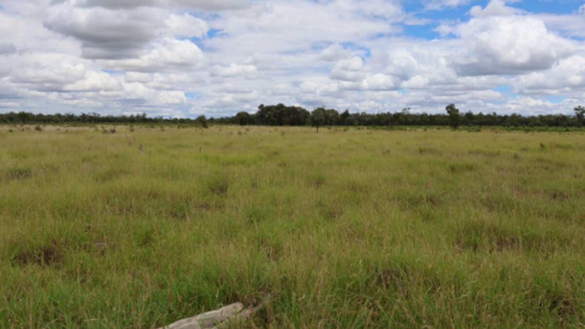 Bundoo is located on the Wellwater Road, 62km east of Charleville and 58km north west of Morven. Picture supplied