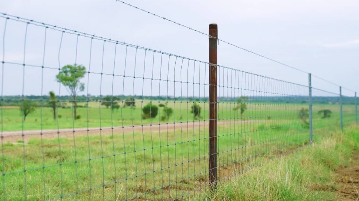 Some 22km of exclusion boundary fencing has been constructed in the past five years. Picture - supplied