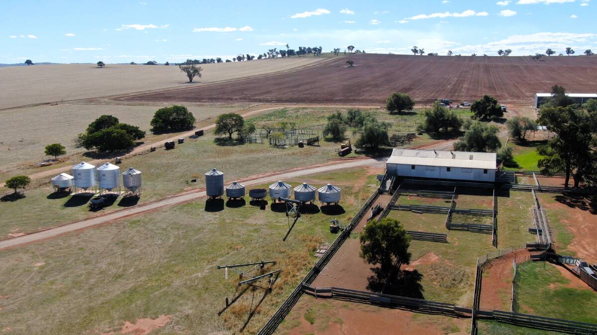 Top quality eastern Riverina mixed farming operation hits the market